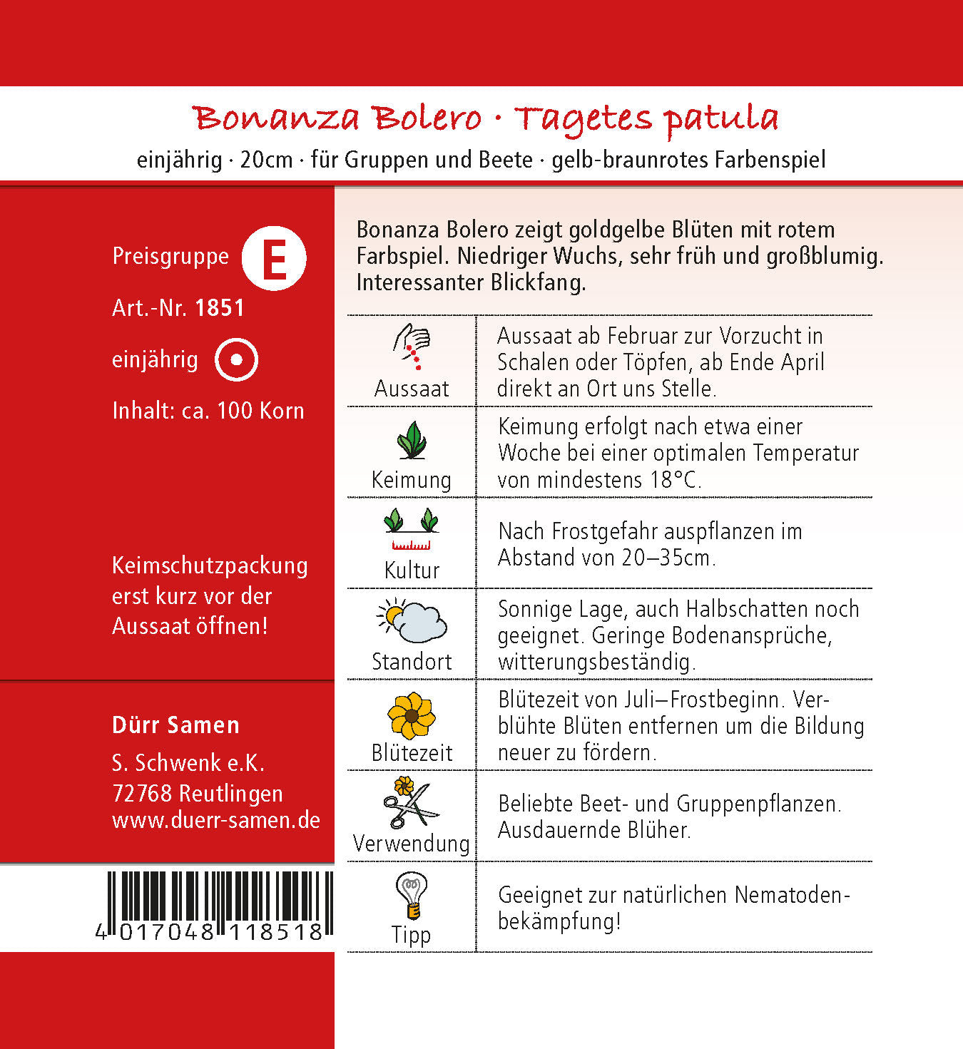  Studentenblume Bonanza Bolero