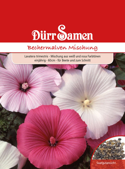  Bechermalve Mischung