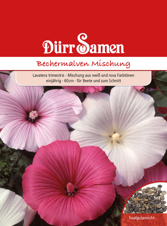  Bechermalve Mischung