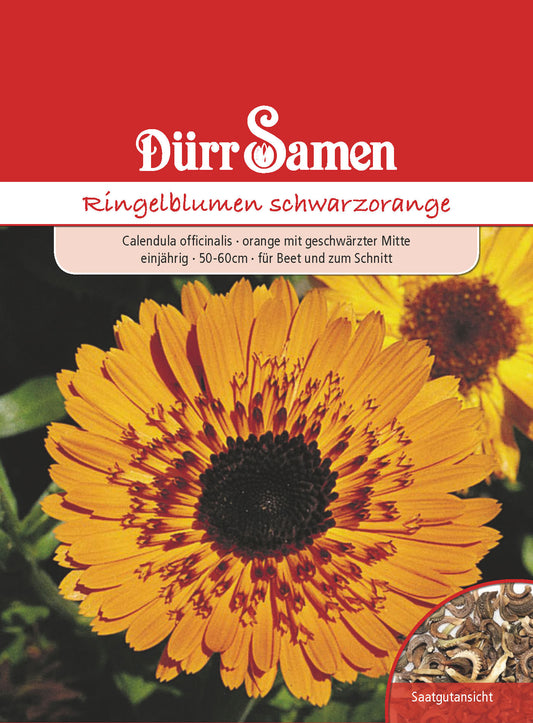  Ringelblume Schwarz Orange