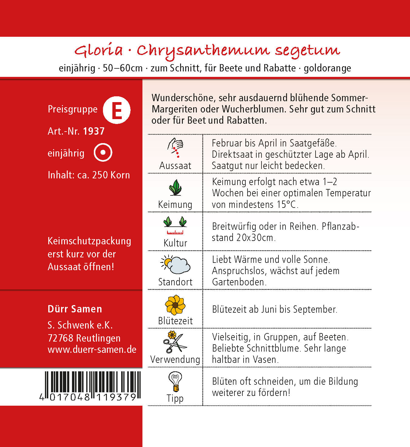  Sommermargeriten Gloria