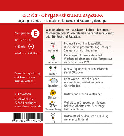  Sommermargeriten Gloria