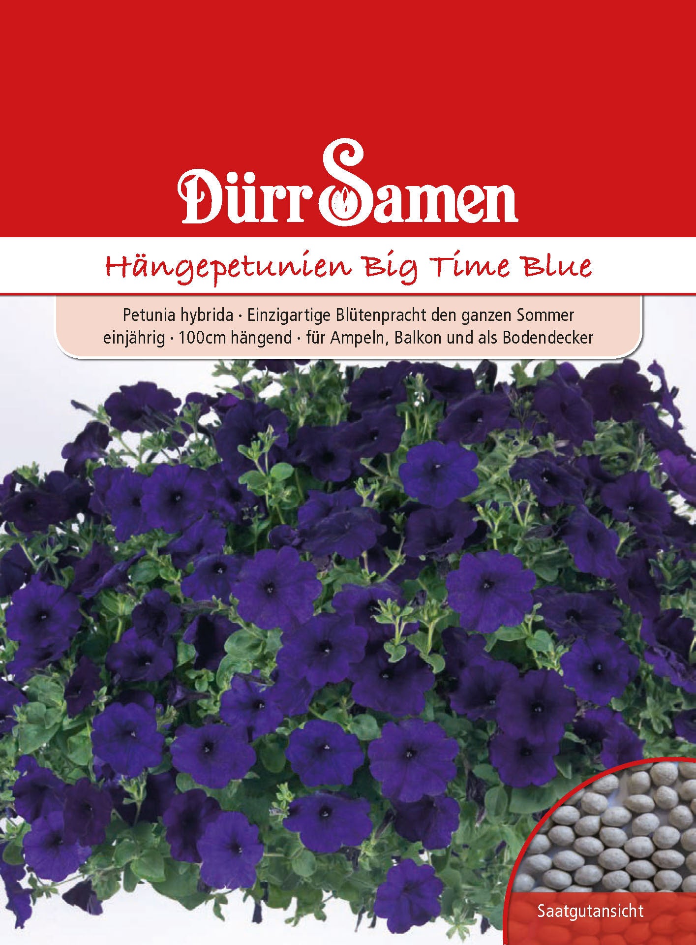  Hängepetunie Big Time Blue