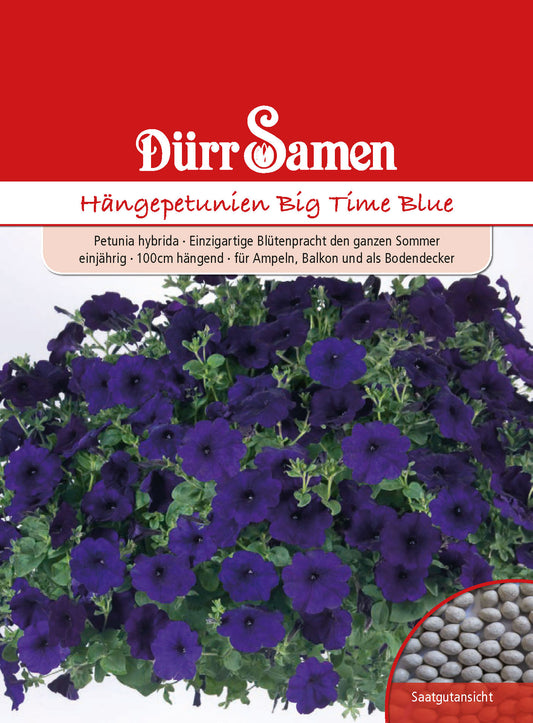  Hängepetunie Big Time Blue