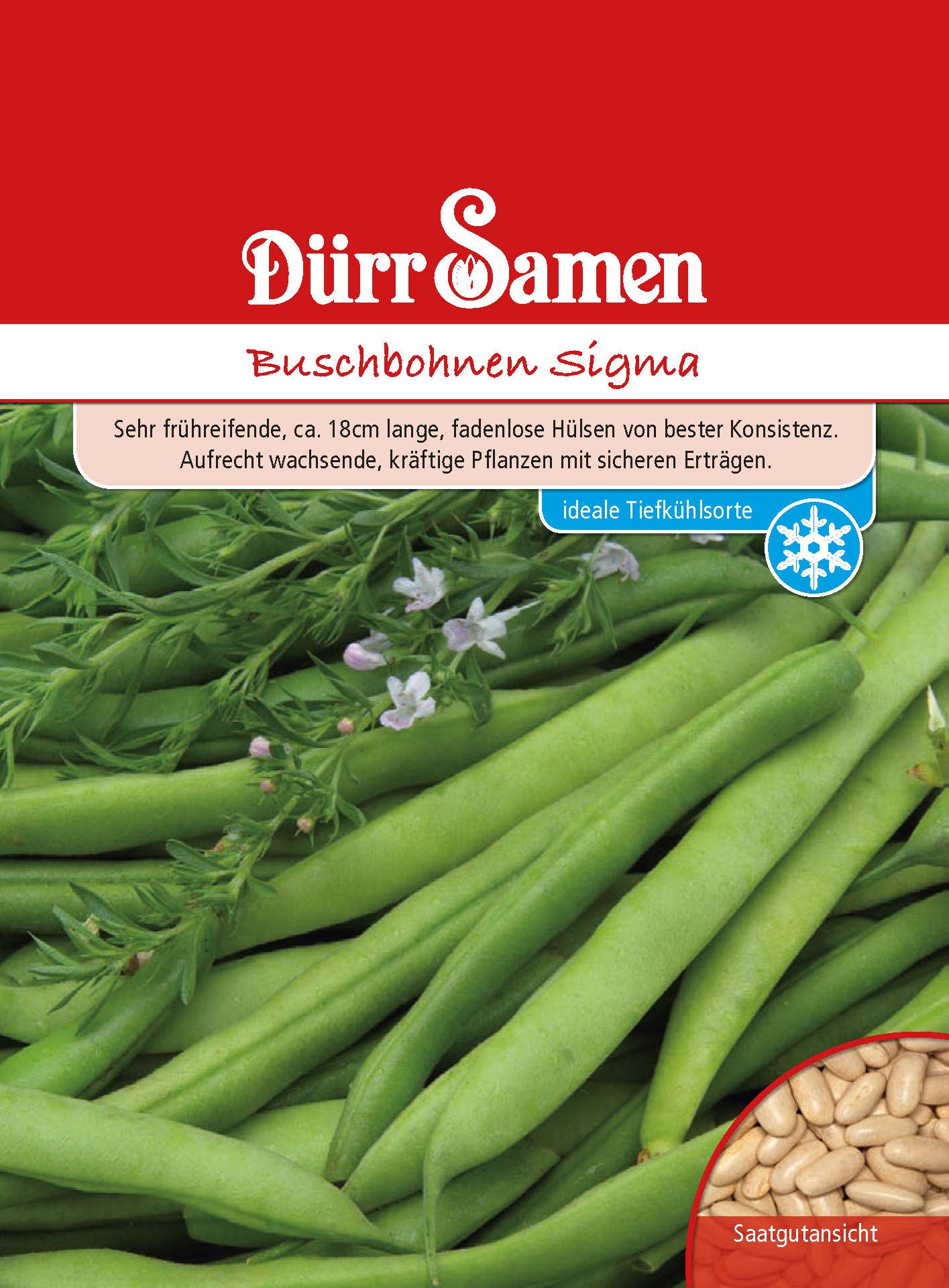  Buschbohne Sigma