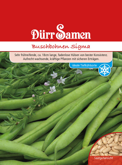  Buschbohne Sigma