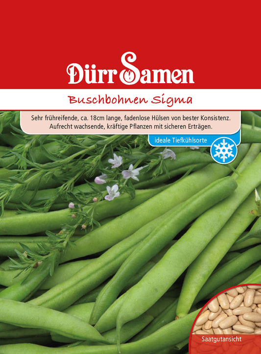  Buschbohne Sigma