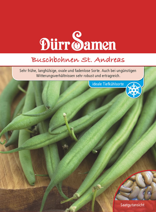  Buschbohne St. Andreas