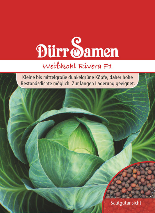  Weißkohl Rivera F1