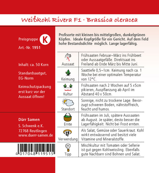  Weißkohl Rivera F1
