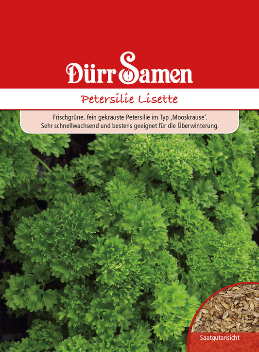  Petersilie Lisette