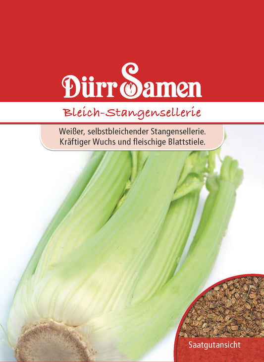 Bleichsellerie