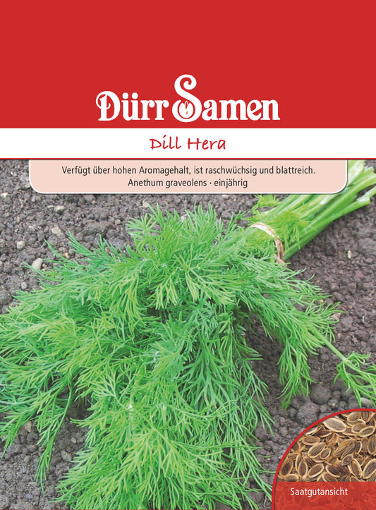 Dill Hera