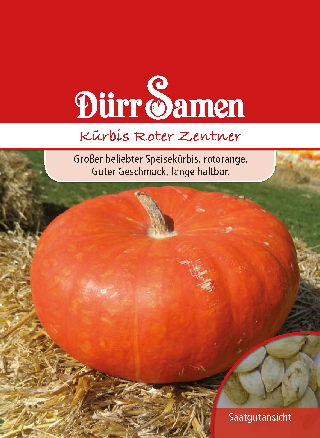  Kürbis Roter Zentner