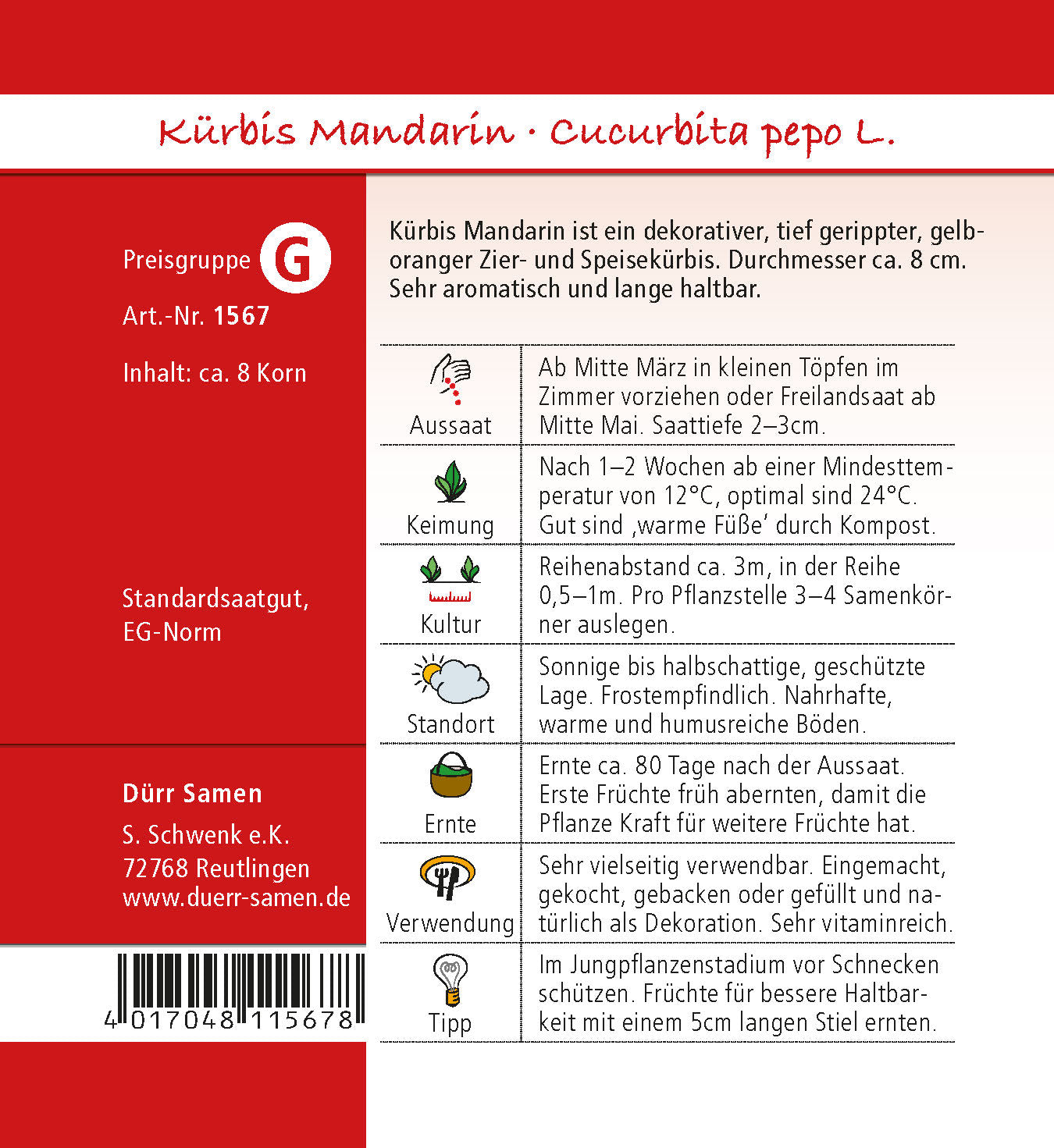  Kürbis Mandarin