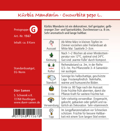  Kürbis Mandarin