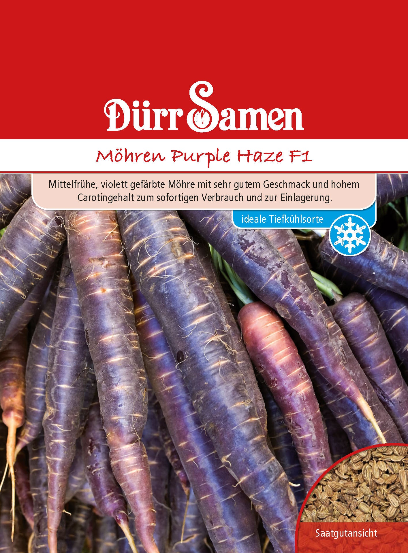  Möhre Purple Haze F1