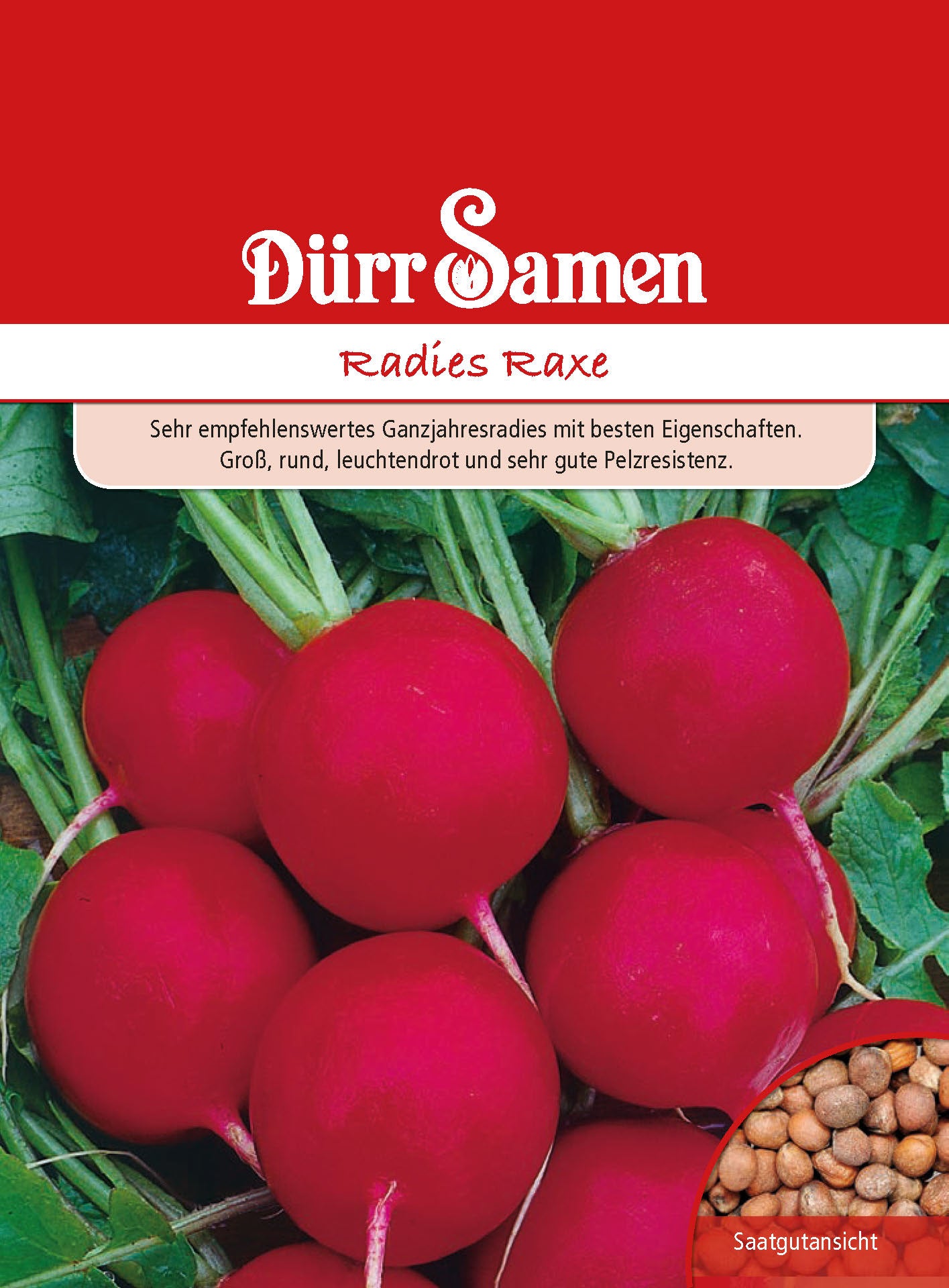  Radies Raxe