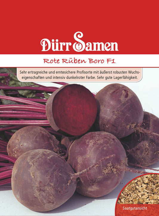  Rote Rübe Boro F1