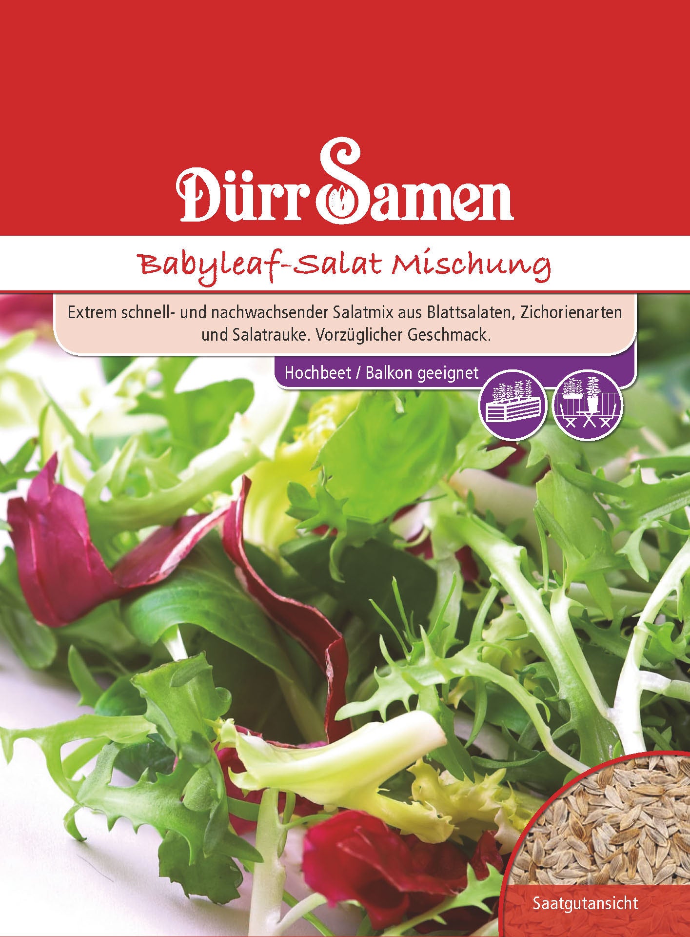  Babyleaf-Salat Mischung