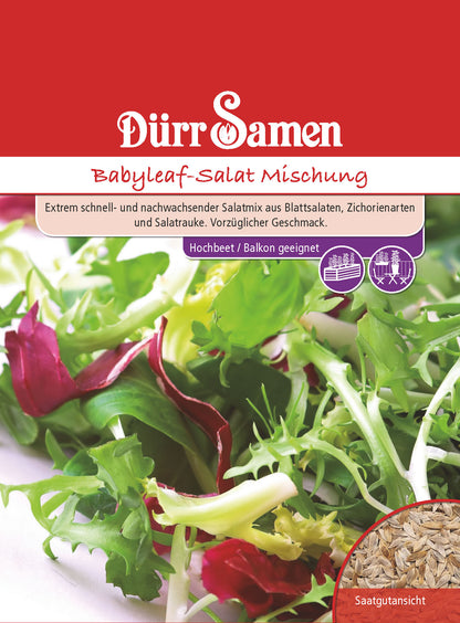  Babyleaf-Salat Mischung