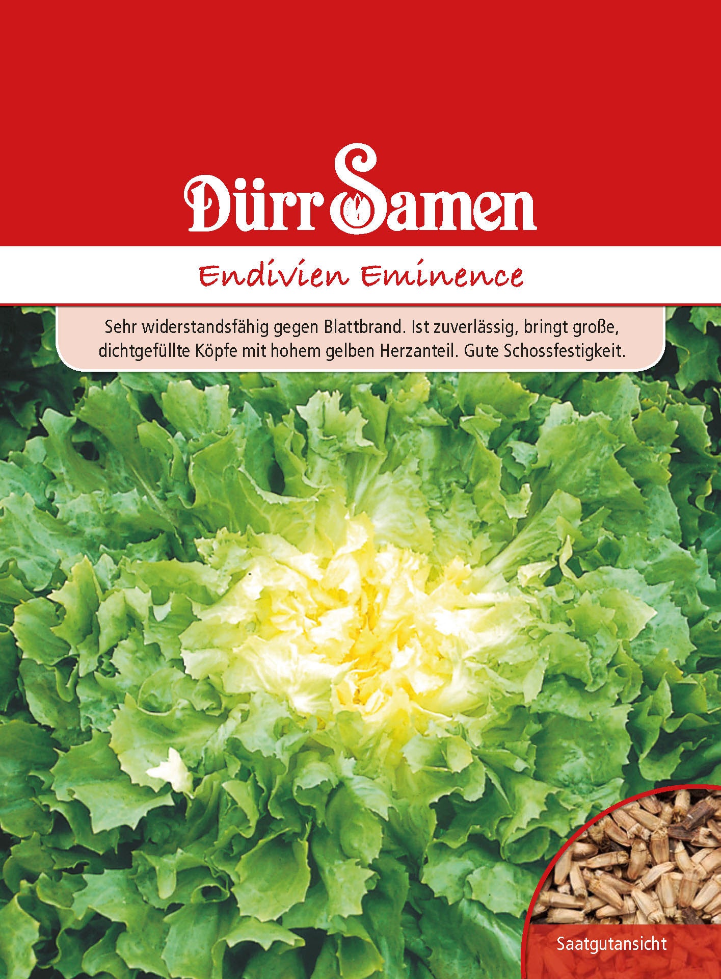  Endivie Eminence