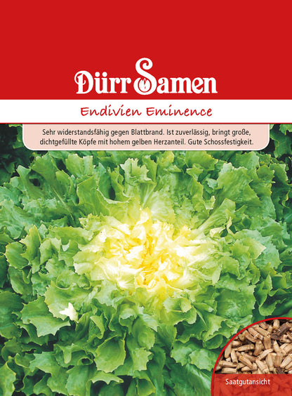  Endivie Eminence