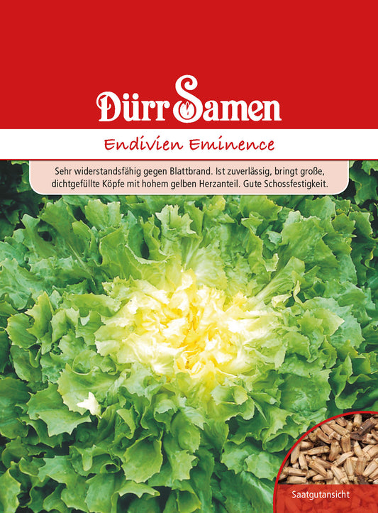 Endivie Eminence