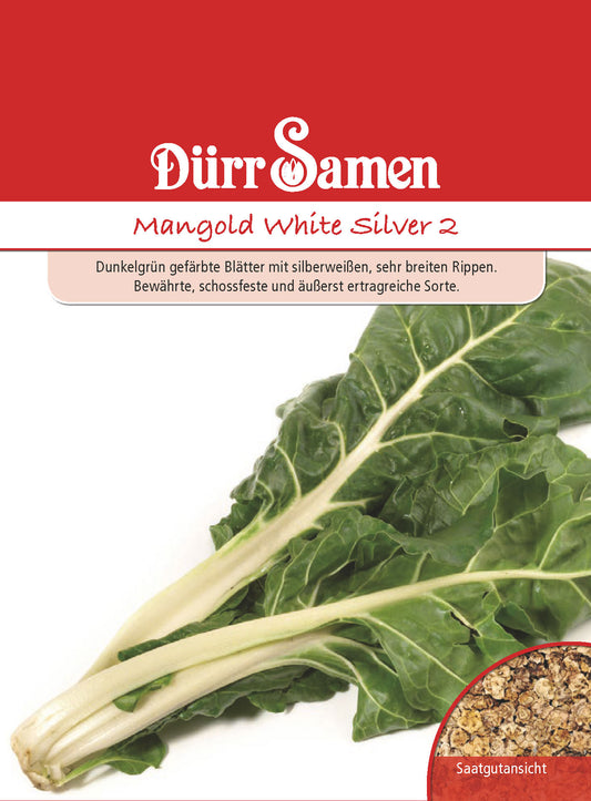  Stielmangold White Silver 2