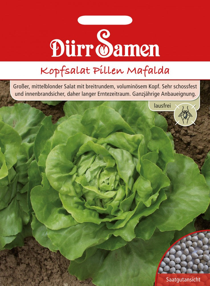  Kopfsalat Pillen Mafalda [MHD 12/2025]