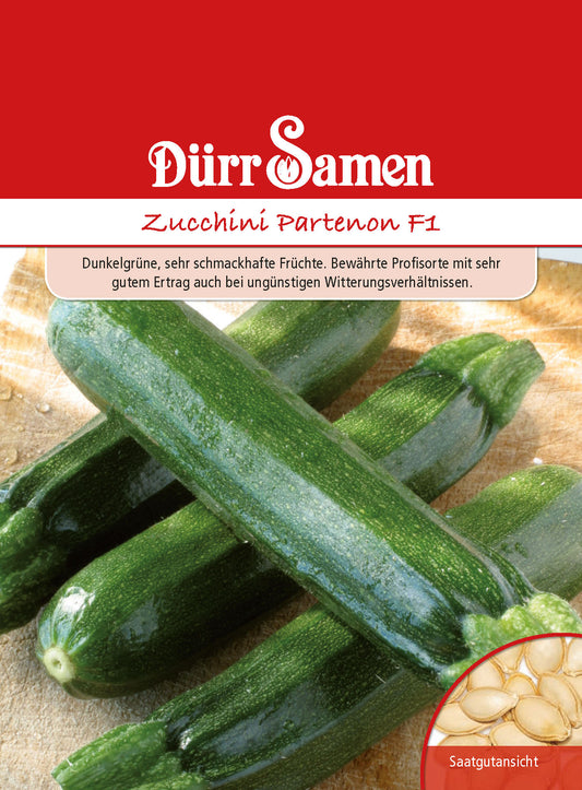  Zucchini Partenon F1