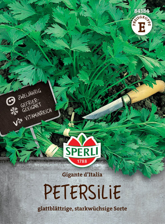  Petersilie Gigante D'Italia