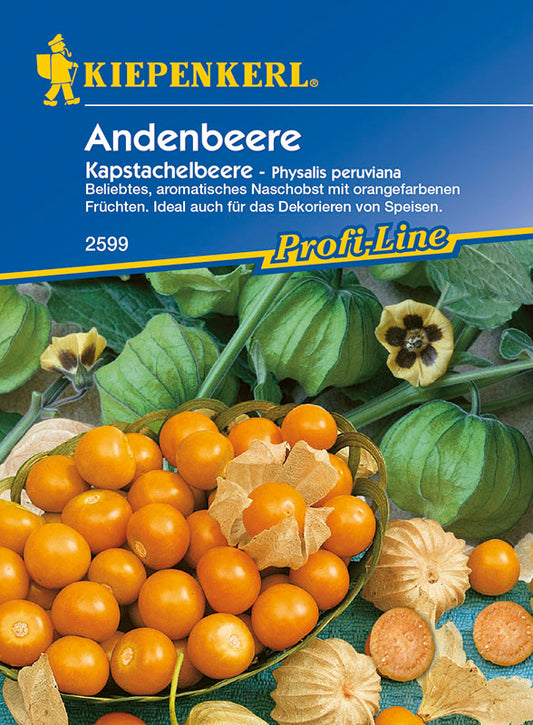  Andenbeere Kapstachelbeere