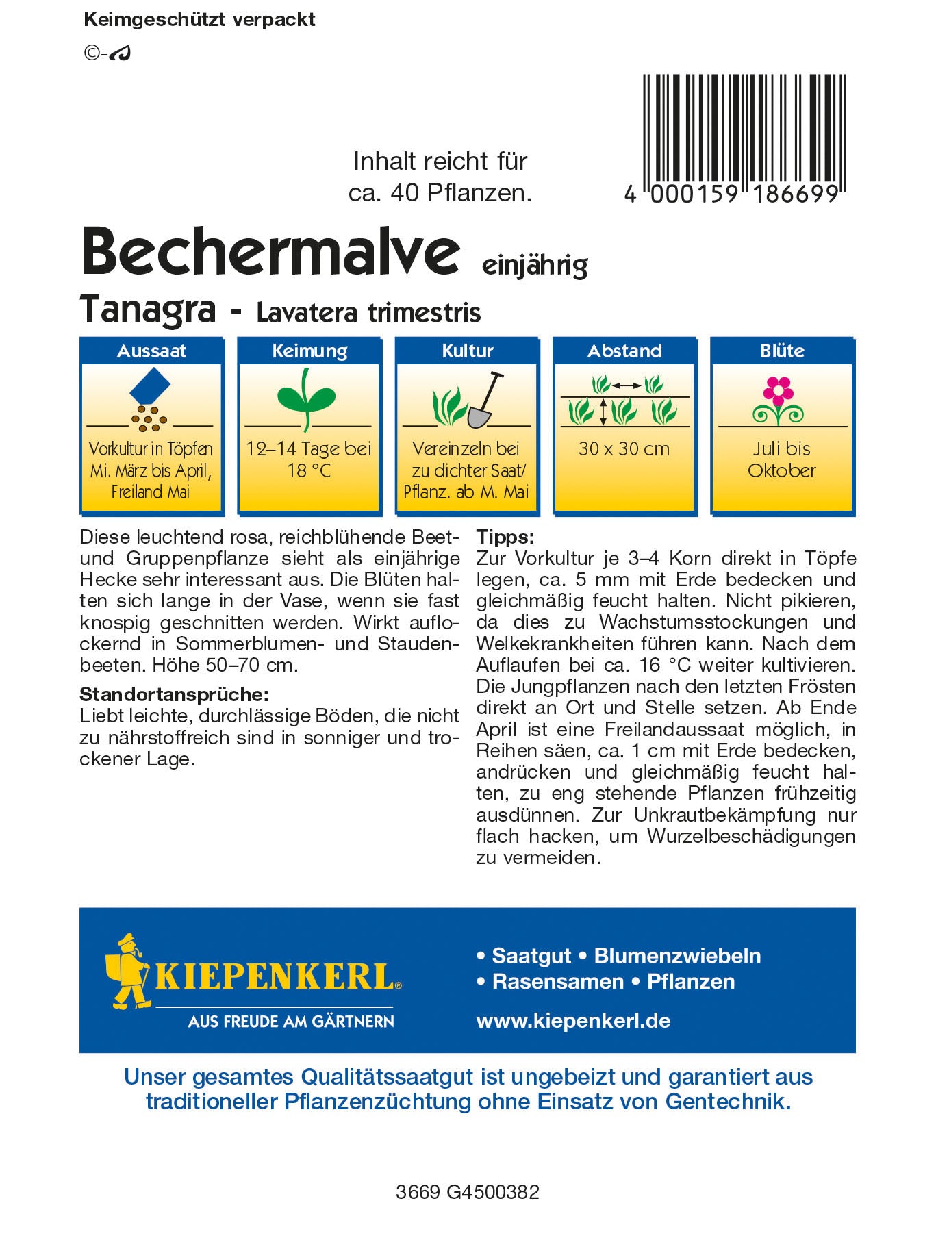  Bechermalve Tanagra [MHD 01/2026]