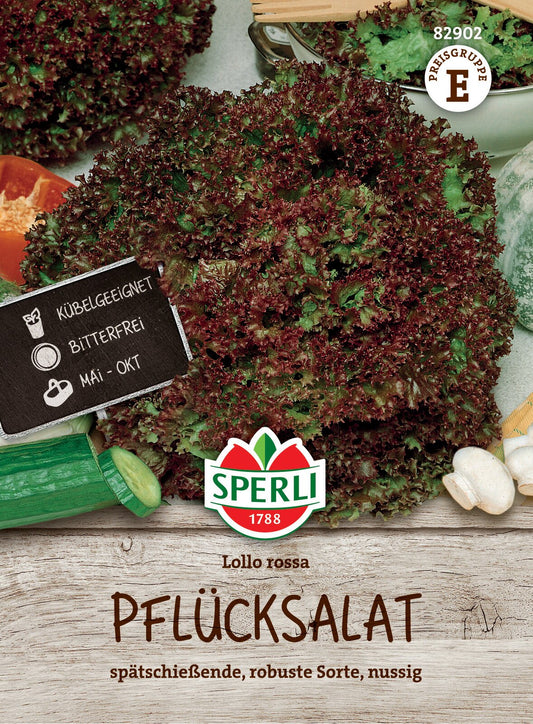  Pflücksalat Lollo Rossa