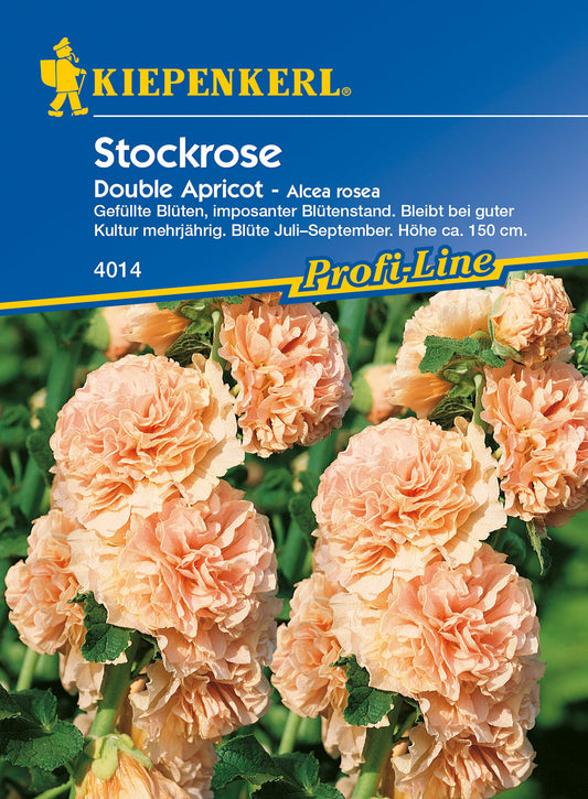  Stockrose Double Apricot