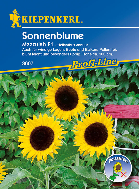  Helianthus Mezzulah [MHD 01/2025]