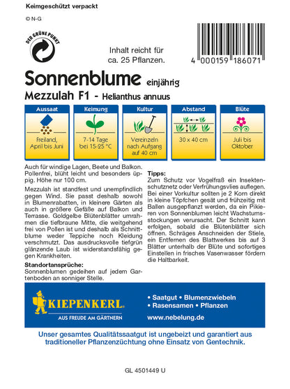  Helianthus Mezzulah [MHD 01/2025]