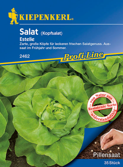  Kopfsalat Estelle (Pillensaat) [MHD 01/2025]