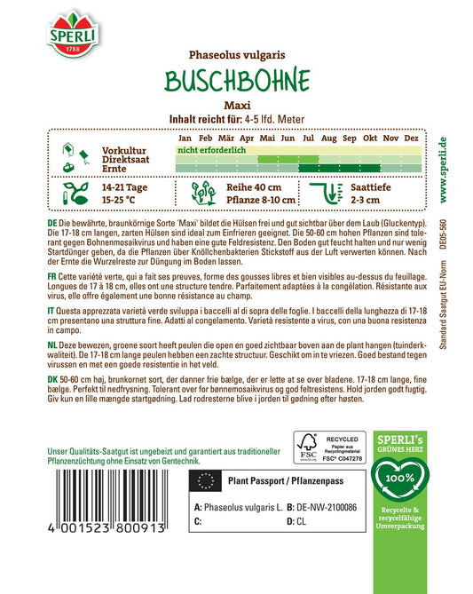  Buschbohne Maxi