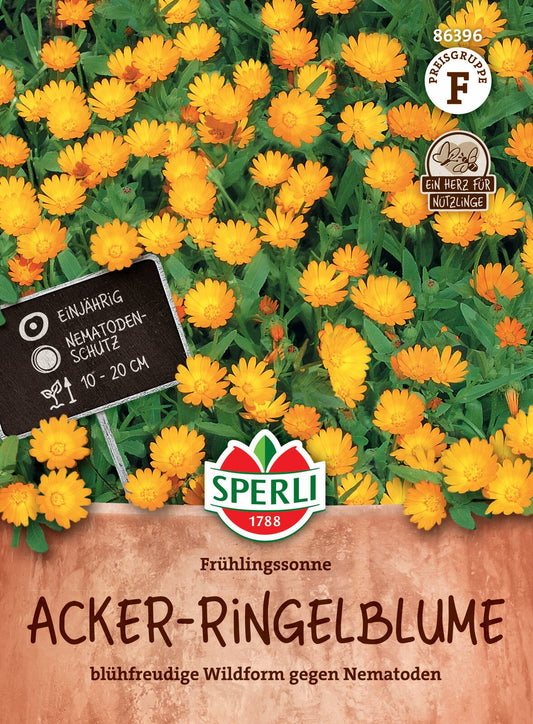  Acker-Ringelblume Frühlingssonne