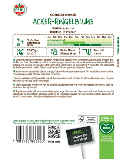  Acker-Ringelblume Frühlingssonne