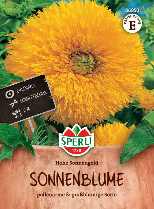  Sonnenblume Hohe Sonnengold [MHD 01/2026]
