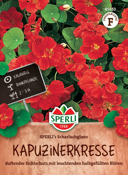  Kapuzinerkresse Scharlachglanz