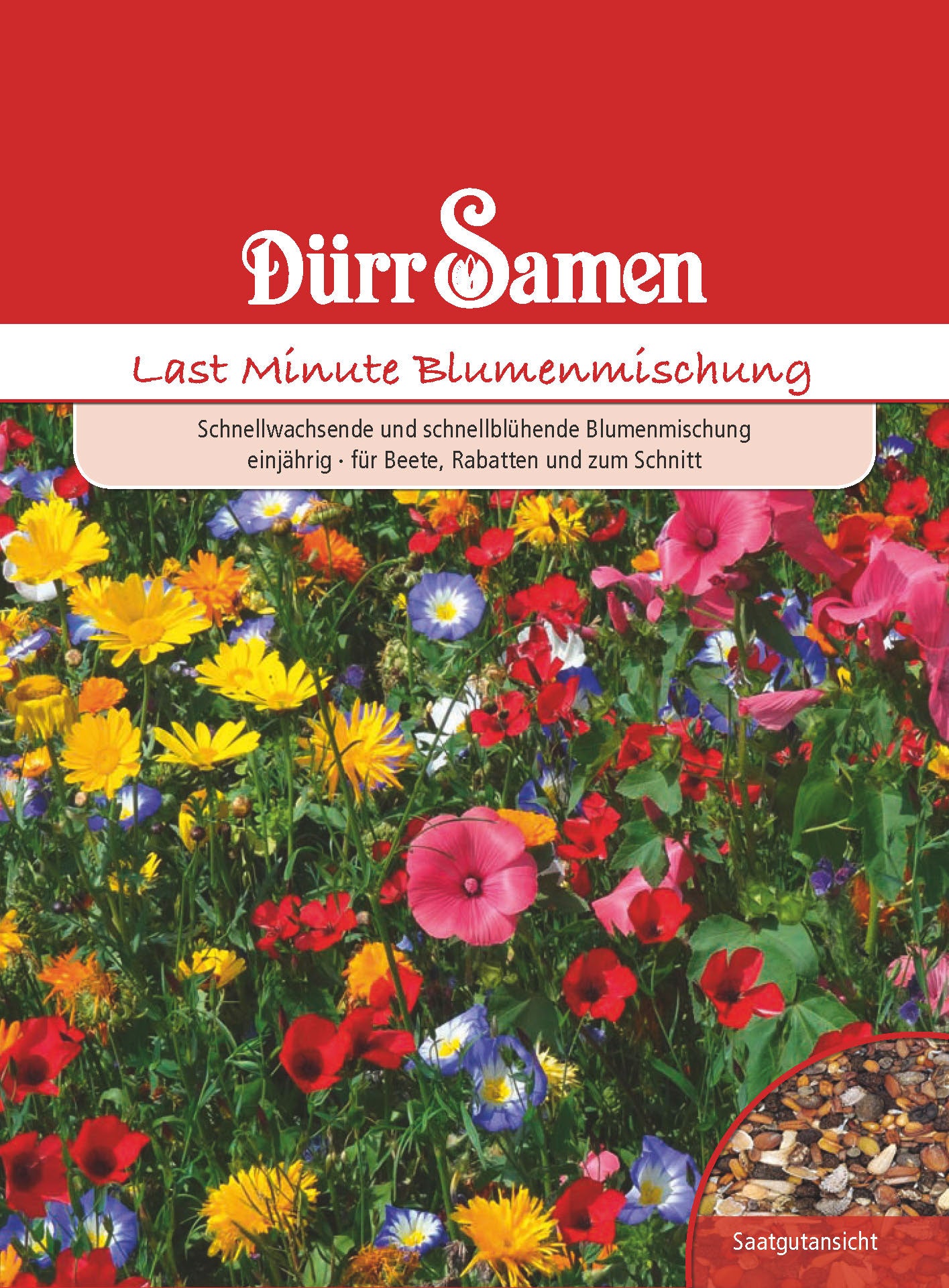  Turbo Blumenmischung