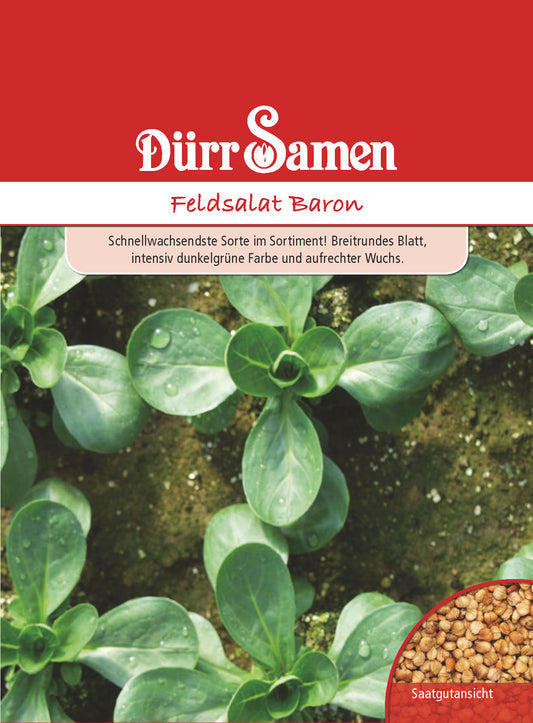  Feldsalat Baron