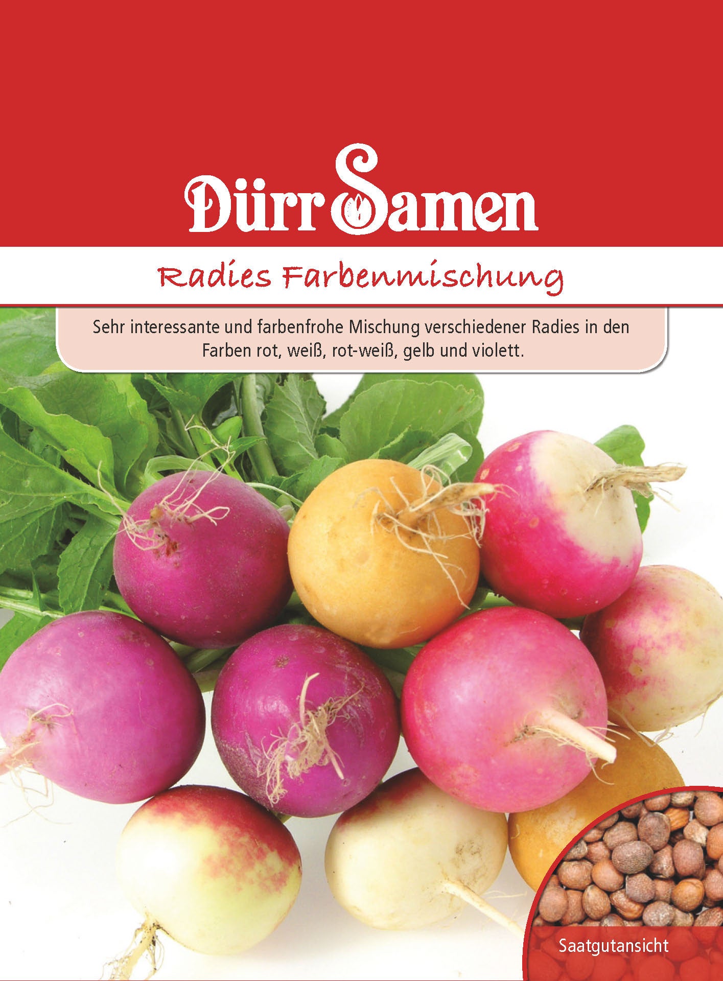  Radies Farbenmischung
