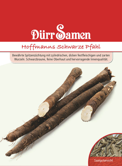  Schwarzwurzel Hoffmanns Schwarzer Pfahl