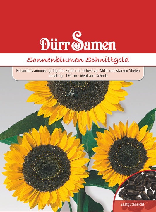  Sonnenblume Schnittgold