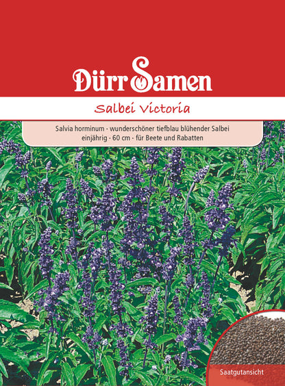  Salbei Victoria